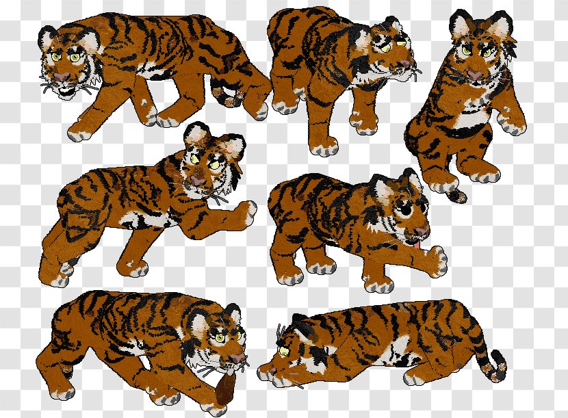 Tiger Cat Terrestrial Animal Clip Art - Big Cats Transparent PNG