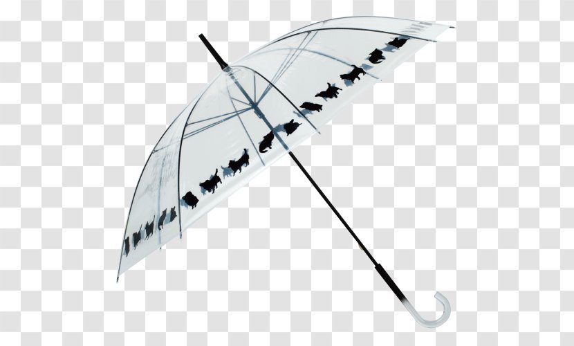 Chihuahua Umbrella Cainz Angle Transparent PNG