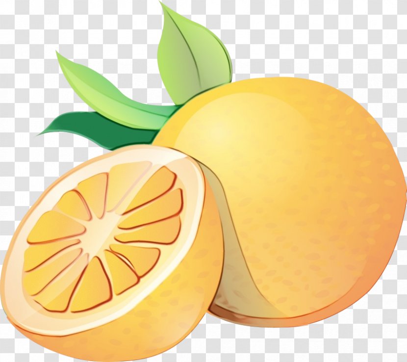 Orange - Grapefruit - Tangerine Yellow Transparent PNG