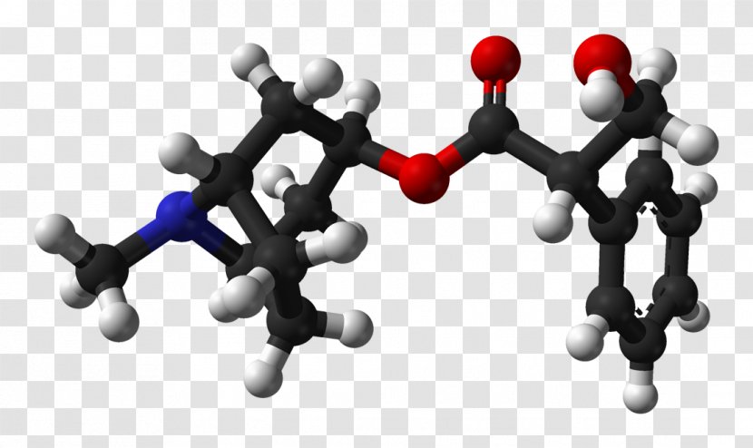 Atropine Nerve Agent Chemistry Pharmaceutical Drug Belladonna - Pain - Tropic Acid Transparent PNG