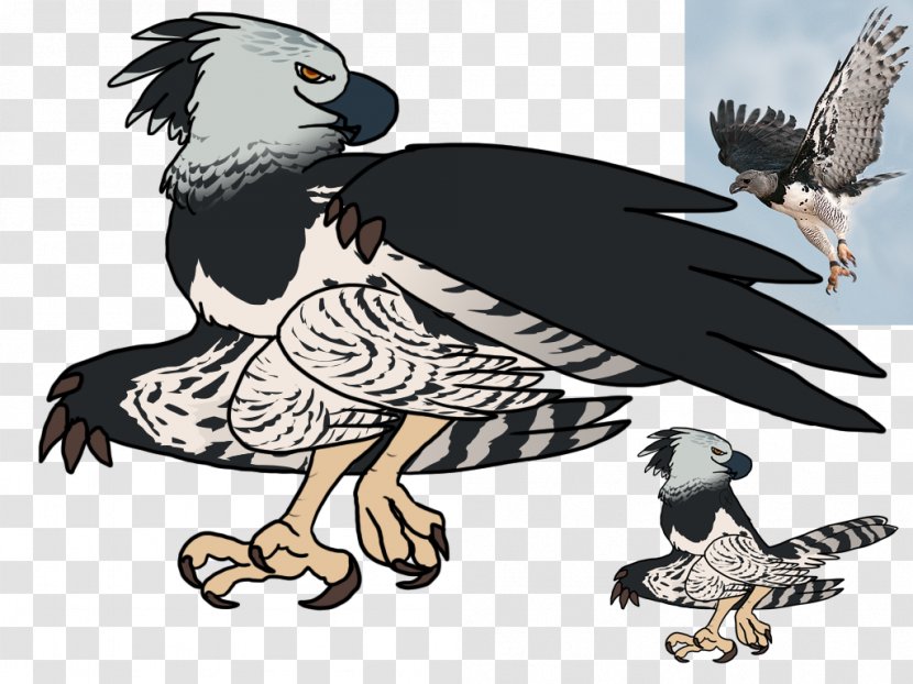 Golden Background - Bird Of Prey - Kite Condor Transparent PNG