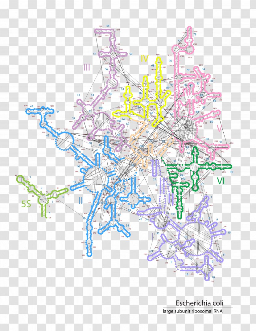 Graphic Design Point Tree - Threedimensional Space Transparent PNG