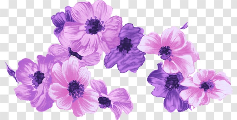 Purple Watercolor Flower - Lavender - Geranium Violet Family Transparent PNG