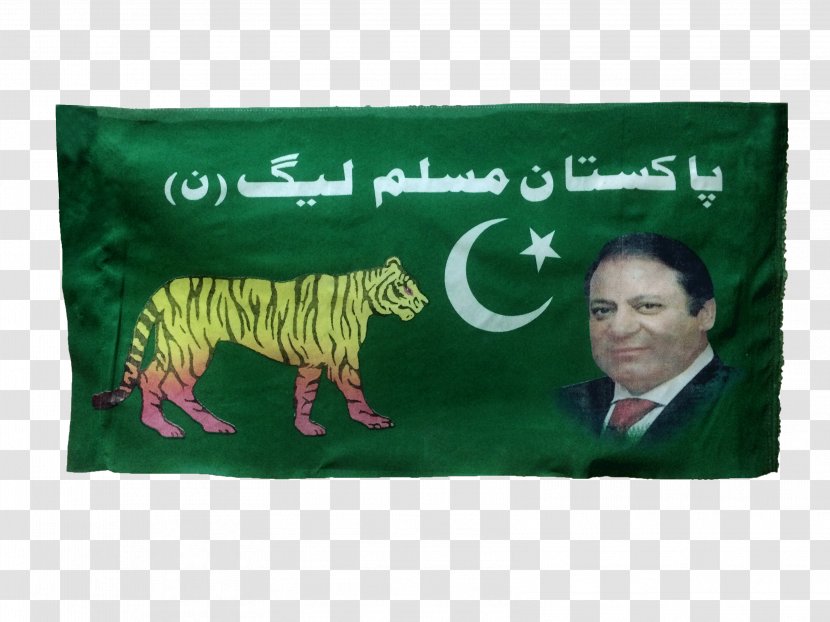 Pakistani General Election, 2018 Pakistan Muslim League Political Campaign - Election Transparent PNG