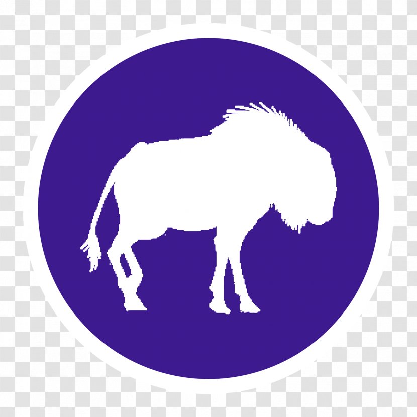 Pony Mustang Pack Animal Freikörperkultur Clip Art - Horse Transparent PNG