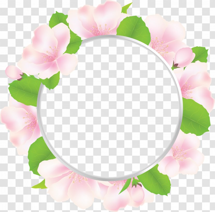 Petal Floral Design Rosaceae Picture Frames Rose - Flower - Oval Frame Transparent PNG