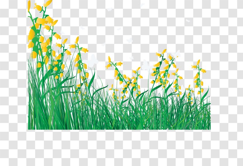 Flower Lawn Clip Art - Plant Stem - Cartoon Spring Flowers Fresh Grass Transparent PNG