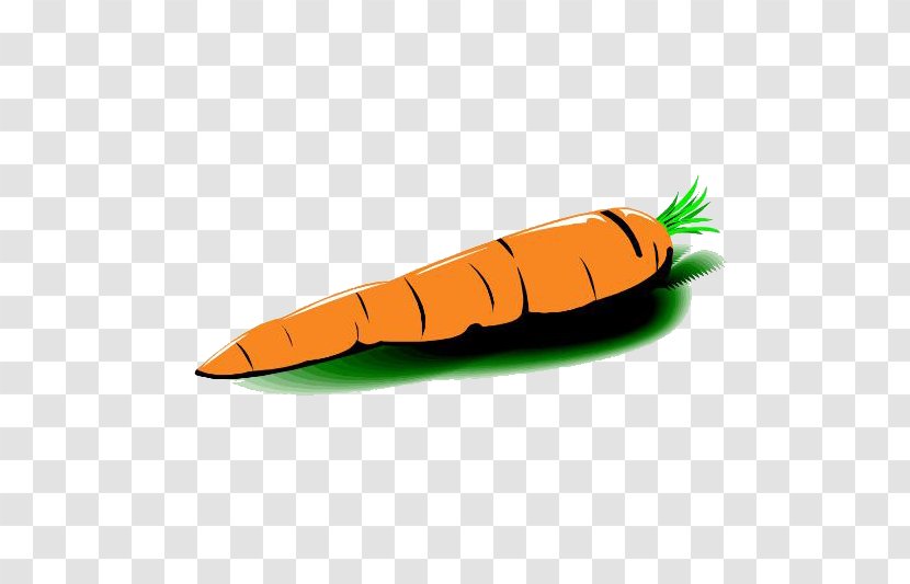 Carrot Vegetable Radish - Drawing Transparent PNG