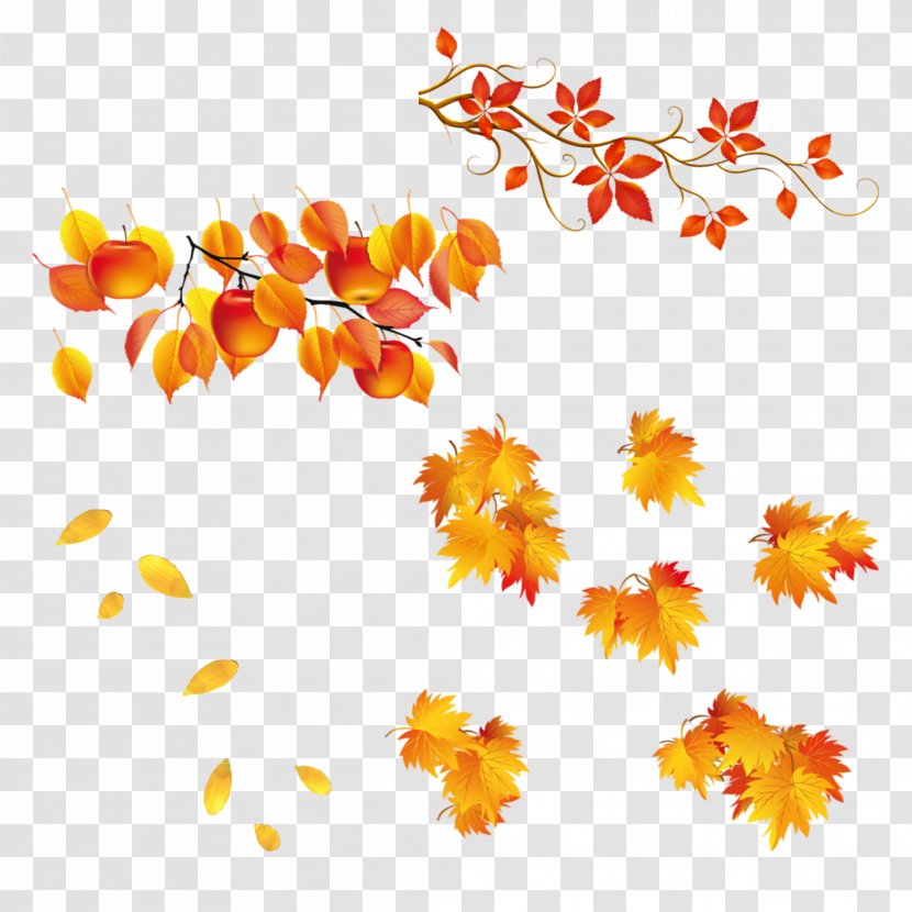 Autumn Leaf Clip Art - Tree - Leaves Transparent PNG