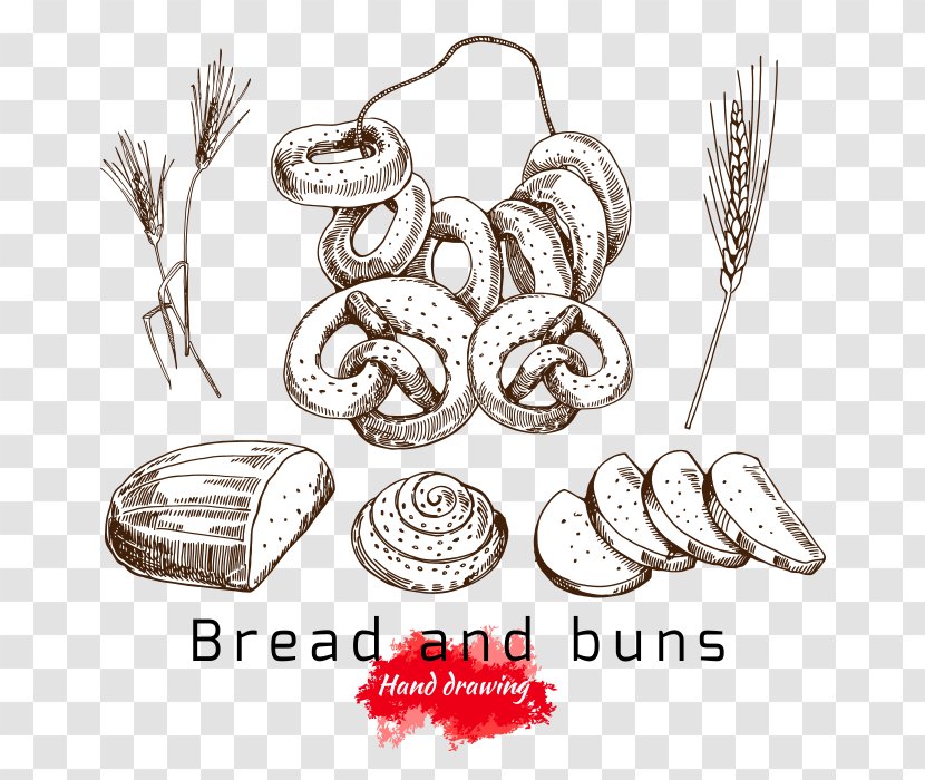 Bagel Bread Mantou Drawing - Wheat Transparent PNG