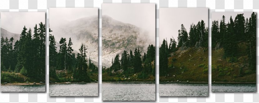 Cloud Forest Foggy Lake Karersee - Grass - Landscape Painting Transparent PNG