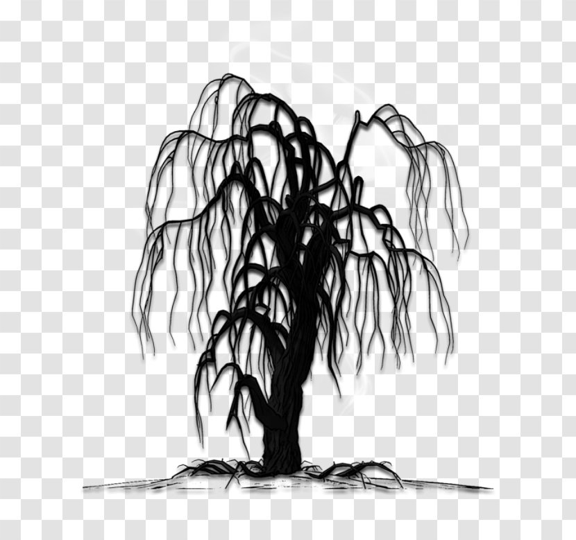Tree Black And White Transparent PNG