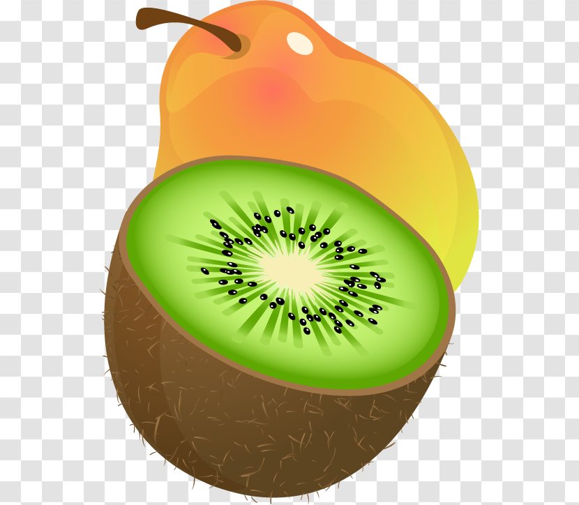 Kiwifruit Clip Art - Plant - Pear Kiwi Vector Material Transparent PNG