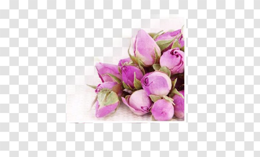Flowering Tea Garden Roses Beach Rose Rosa Chinensis - Pink Transparent PNG