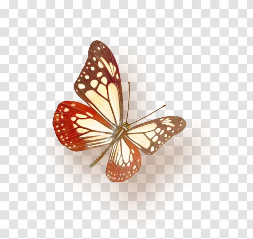 Butterfly Color Violet Computer File - Monarch Transparent PNG