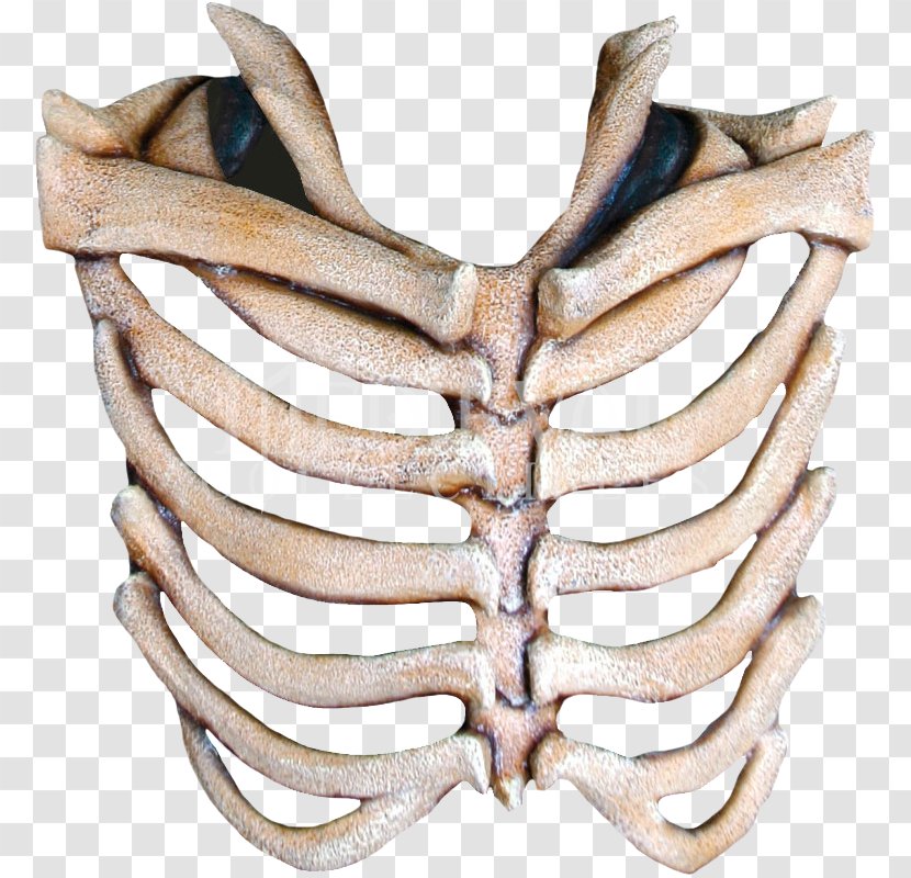 Mask Rib Cage Human Skeleton Skull - Jaw - Bones Transparent PNG