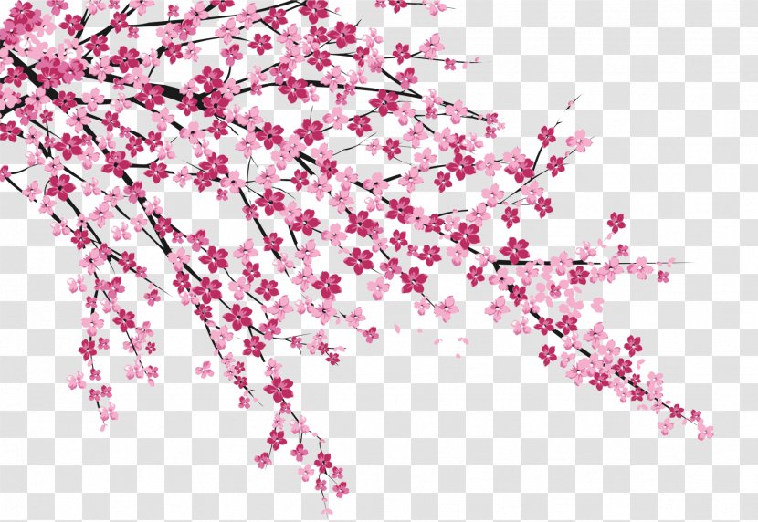Cherry Blossom Sakura No Hanabiratachi Wall Painting - Flower - Blossoms Transparent PNG