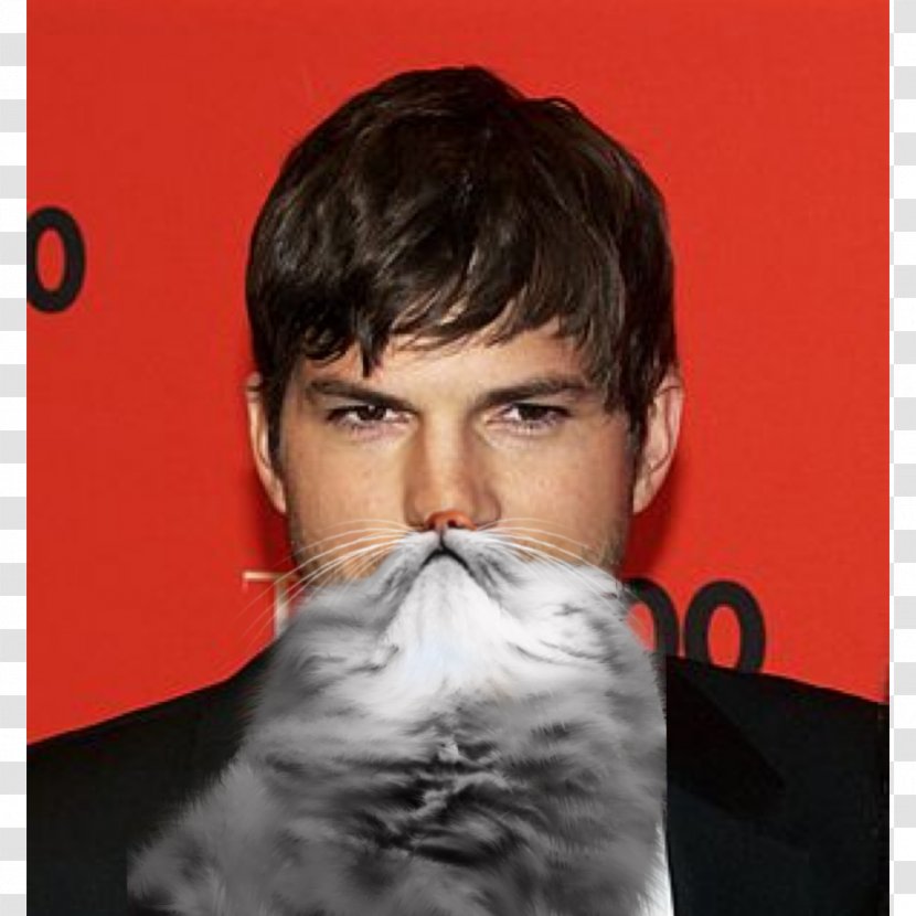 Ashton Kutcher Jobs United States Actor Michael Kelso - That 70s Show - Beard Transparent PNG