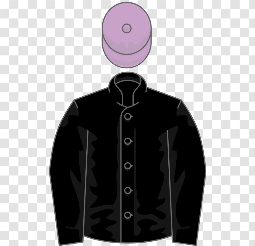 Wikipedia Thoroughbred 2017 Melbourne Cup Clip Art - Pudge Transparent PNG