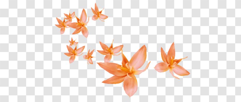 Petal Flower Leaf Clip Art Transparent PNG