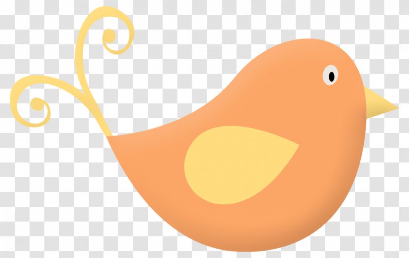 Duck Amber Orange Clip Art - Bird Transparent PNG