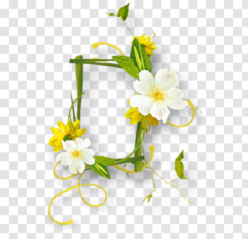 Floral Design Cut Flowers Clip Art - Plant Stem - Flower Transparent PNG