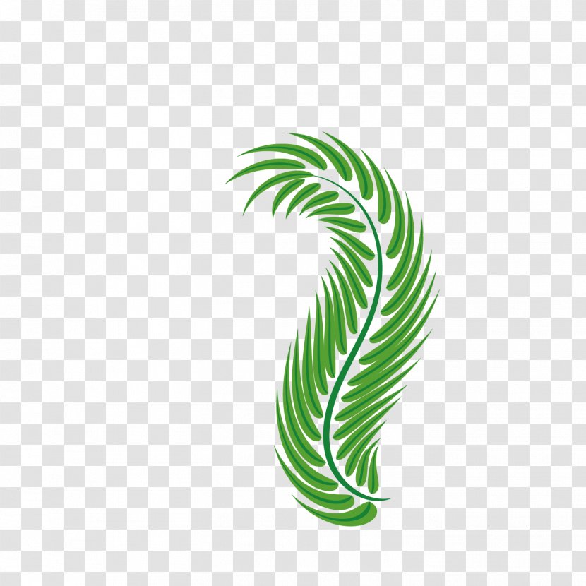Palm-leaf Manuscript Green Arecaceae - Easter Palm - Leaves Transparent PNG