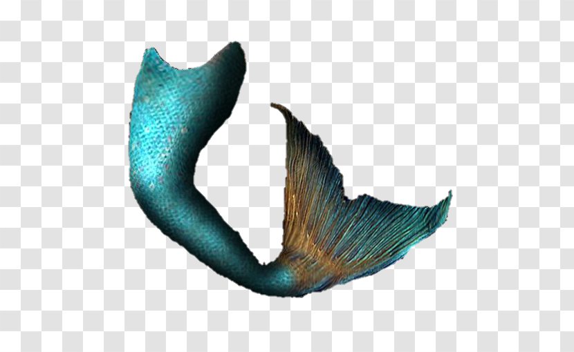 Mermaid Ariel Fairy Tale Siren Tail - Fin Transparent PNG