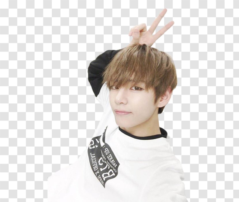 BTS K-pop Butterfly For You - Hair Coloring - Bts Transparent PNG