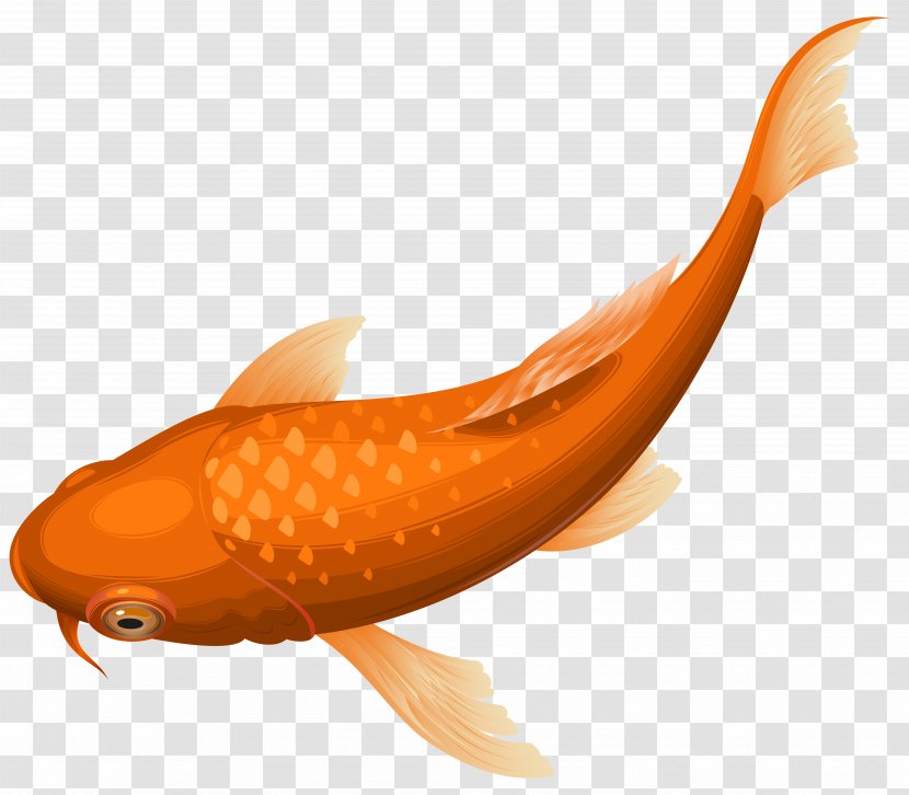 Koi Goldfish Clip Art - Fish - Orange Transparent Image Transparent PNG