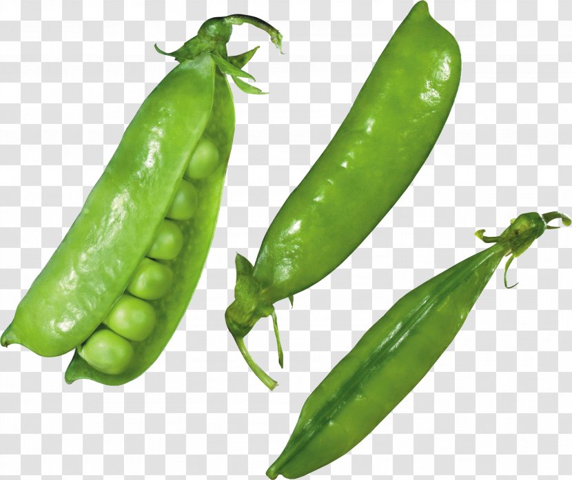 Snap Pea Snow Serrano Pepper Icon - Ingredient Transparent PNG