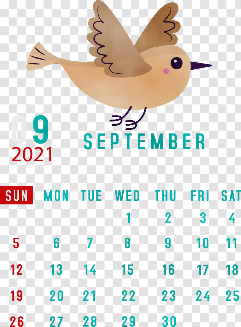 Line Meter Beak Calendar System Science Transparent PNG