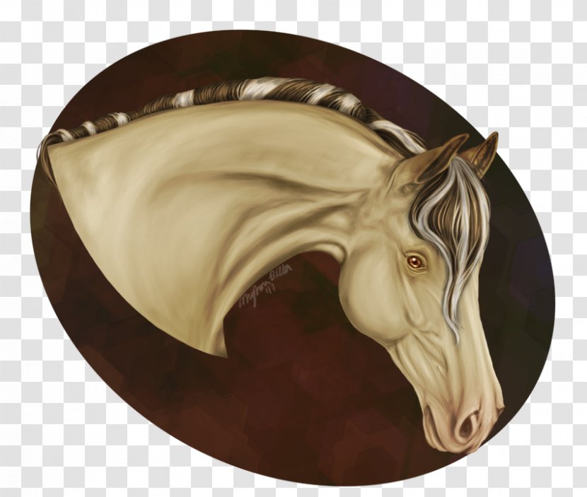 Rein Snout Halter - Canaan Transparent PNG