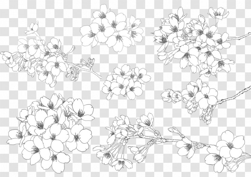 Cherry Blossom Illustration - Petal - Hand-painted Transparent PNG