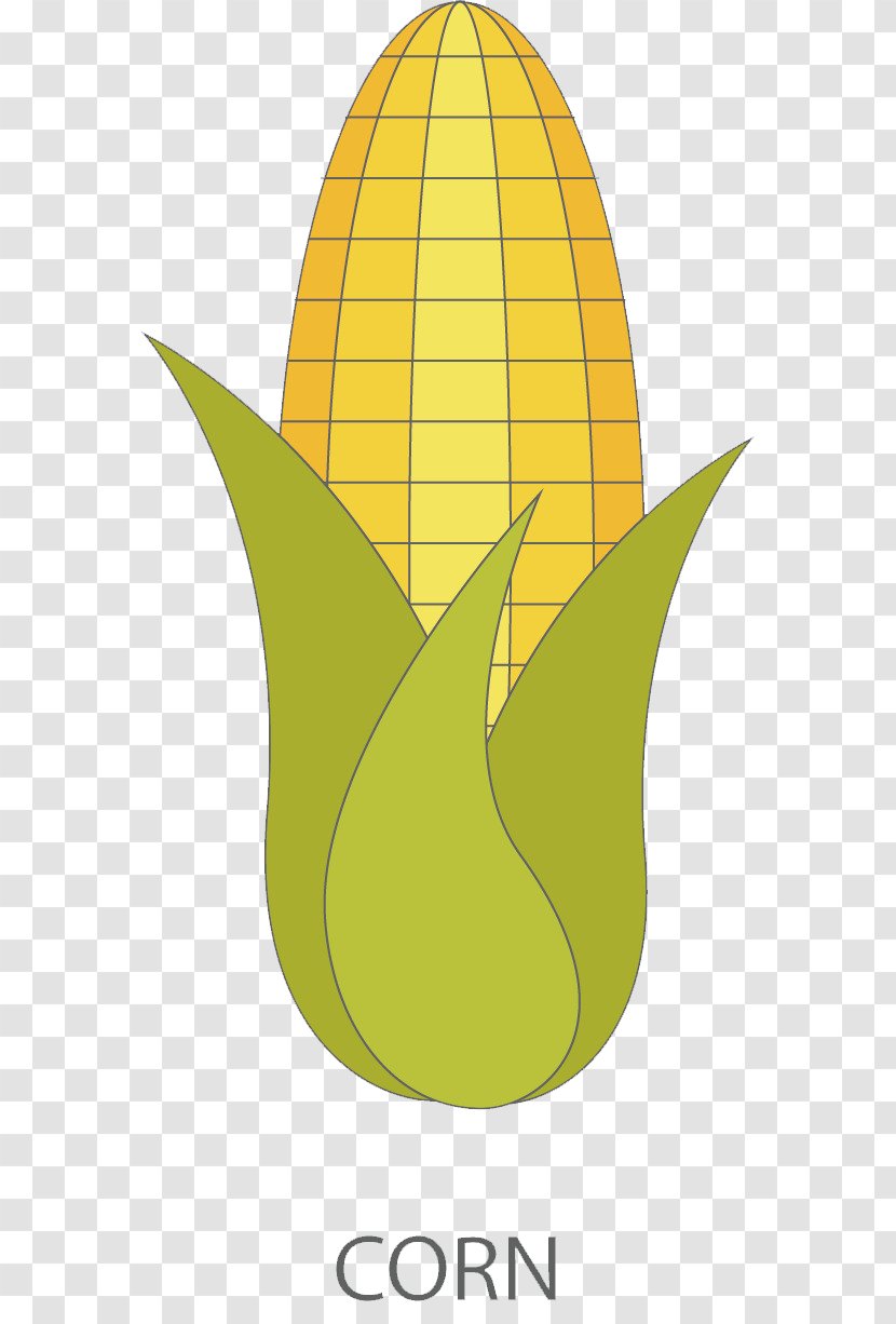 Sweet Corn Clip Art Cartoon Vegetable - Pear - Cob Button Transparent PNG