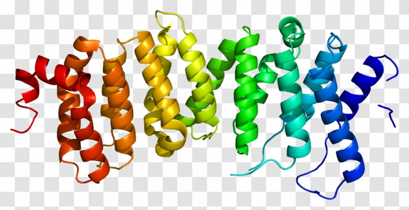 PPP2R5D Protein Phosphatase 2 PPP2R3A PPP2R1B - Watercolor - Heart Transparent PNG