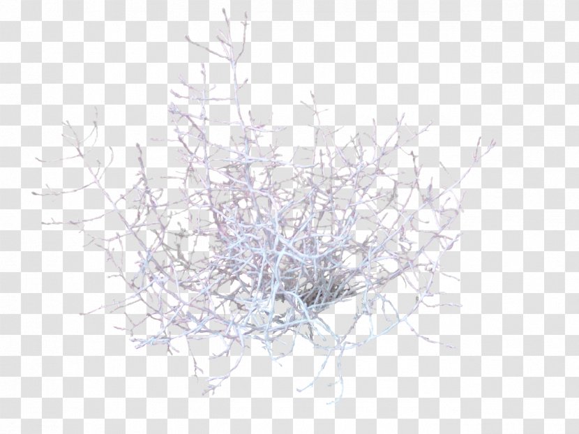 Tree Branch Twig Lavender Purple - Coral Transparent PNG