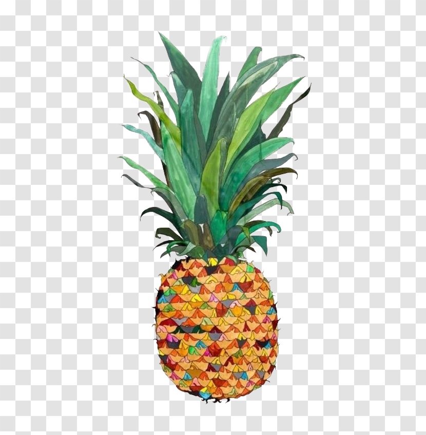 Pineapple Drawing Watercolor Painting Illustration - Printmaking - Hand Colored Transparent PNG