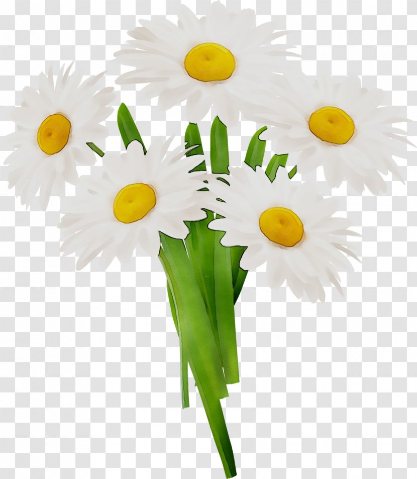 Oxeye Daisy Floral Design Cut Flowers Flower Bouquet - Chamaemelum Nobile Transparent PNG