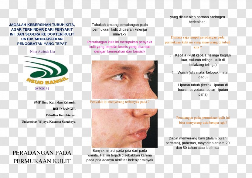 Advertising Brochure Brand Font - Eyelash Transparent PNG