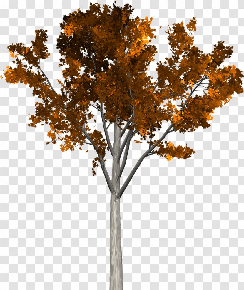Tree Branch Twig - Plant Stem - Falling Transparent PNG