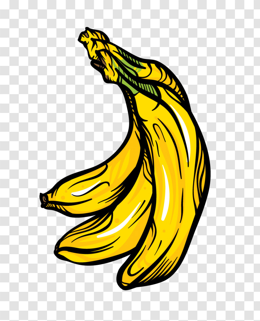 Banana Yellow Banana Family Plant Logo Transparent PNG