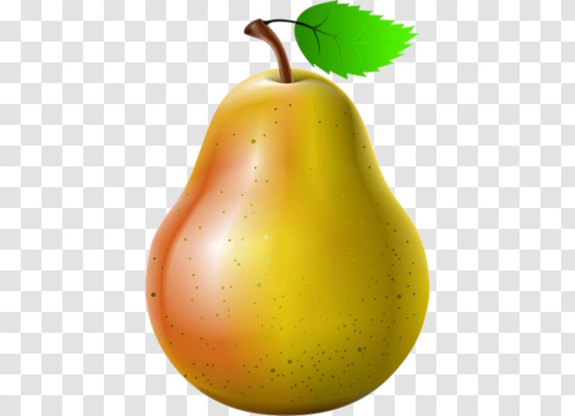 Royalty-free Clip Art - Asian Pear - Fruit Transparent PNG