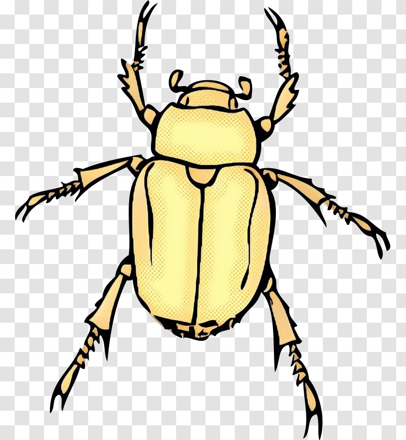 June Background - Darkling Beetles - Pest Cetoniidae Transparent PNG