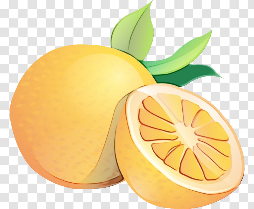 Orange Transparent PNG