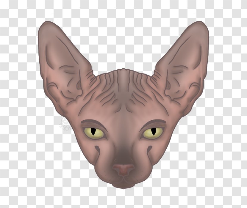 Sphynx Cat Donskoy Peterbald Ukrainian Levkoy Kitten - Like Mammal Transparent PNG