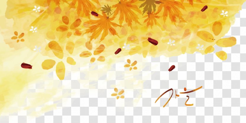 Watercolor Painting Photography Illustration - Poster - Vector Yellow Autumn Leaves Transparent PNG