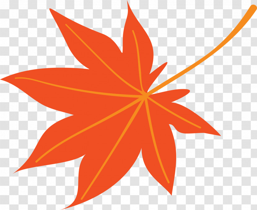 Autumn Leaf Colourful Foliage Colorful Leaves Transparent PNG