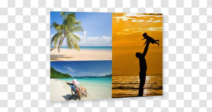 Caribbean Vacation Stock Photography Summer - Shore - Collage Flyer Transparent PNG