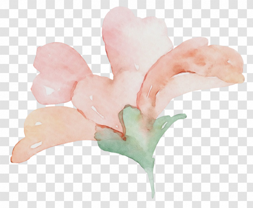 Petal Flower Transparent PNG